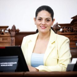 Propone Luz Elena reforma para fortalecer el cumplimiento de obligaciones alimentarias