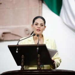 Propone Luz Elena reforma para fortalecer el cumplimiento de obligaciones alimentarias1