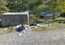 Rebasan paseantes capacidad de servicio de recolección en Arteaga