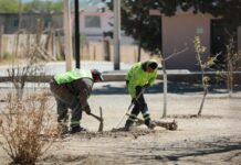 Recupera Javier Díaz plazas públicas en ejidos con acciones integrales