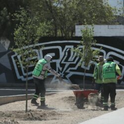 Refuerza Javier Díaz limpieza y mantenimiento de la Plaza Mirasierra Spurs