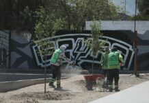 Refuerza Javier Díaz limpieza y mantenimiento de la Plaza Mirasierra Spurs