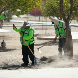 Refuerza Javier Díaz limpieza y mantenimiento de la Plaza Mirasierra Spurs1