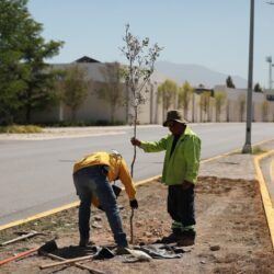 Refuerza Javier Díaz limpieza y mantenimiento de la Plaza Mirasierra Spurs2