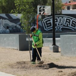 Refuerza Javier Díaz limpieza y mantenimiento de la Plaza Mirasierra Spurs3