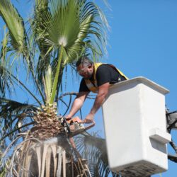 Refuerza Municipio atención integral en bulevares de Saltillo1