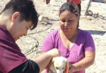 Refuerzan acciones de bienestar animal en ejidos de Ramos Arizpe