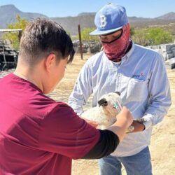 Refuerzan acciones de bienestar animal en ejidos de Ramos Arizpe1