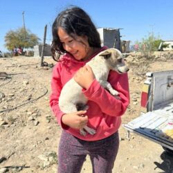 Refuerzan acciones de bienestar animal en ejidos de Ramos Arizpe2