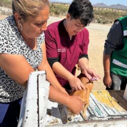 Refuerzan acciones de bienestar animal en ejidos de Ramos Arizpe5