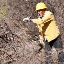 Refuerzan labores de limpieza y deshierbe en brechas y carreteras de la sierra de Arteaga para prevenir incendios
