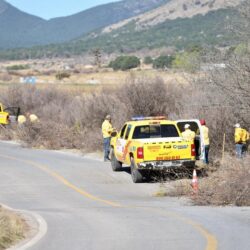 Refuerzan labores de limpieza y deshierbe en brechas y carreteras de la sierra de Arteaga para prevenir incendios1