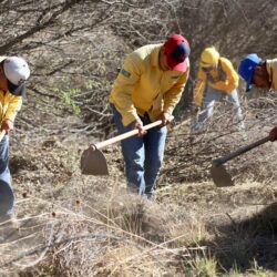 Refuerzan labores de limpieza y deshierbe en brechas y carreteras de la sierra de Arteaga para prevenir incendios2
