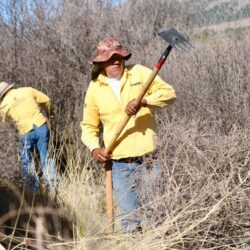 Refuerzan labores de limpieza y deshierbe en brechas y carreteras de la sierra de Arteaga para prevenir incendios4