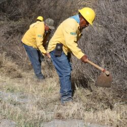 Refuerzan labores de limpieza y deshierbe en brechas y carreteras de la sierra de Arteaga para prevenir incendios5