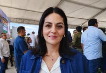 Revanchista el “Plan B” de Sheinbaum; preocupa busque impactar a congresos locales y ayuntamientos