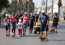 Ruta Recreativa ofrece espacio para activación física y convivencia