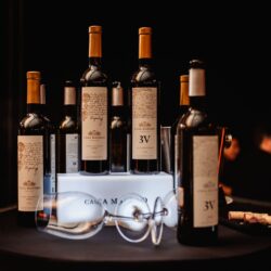 Va el vino de Coahuila a conquistar Latinoamérica; Casa Madero llega a Costa Rica2