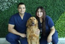 Mascotas felices: la importancia del cuidado integral