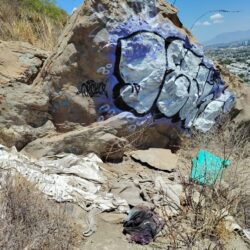 a8bb78e1-a45d-4ac8-8ef5-a7da73e9f92f