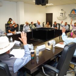 aprueba cabildo 4