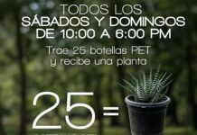 Cambiará MUSAVE plantas por botellas de PET los sábados y domingos