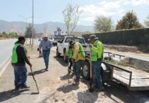 Continúa Saltillo acciones de reforestación en bulevar Colosio