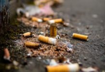 Estudio revela el impacto en el medio ambiente de las colillas de cigarros desechadas