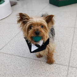 file_00000000f6b071fdab0140df8f1b4dba