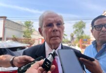 Ilegal que aspirantes de MORENA a diputación utilicen la imagen de Sheinbaum en precampaña