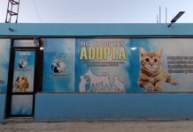 Inauguran en Saltillo centro de apoyo para animales rescatados y mascotas