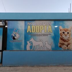 inauguran en saltillo 12