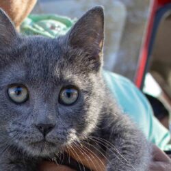 inicio este viernes 2