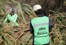 Instruye Javier Díaz limpieza profunda en el arroyo “Los Ojitos”