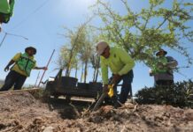 Intensifica Javier Díaz reforestación a través de “Bosque Lineales Urbanos”