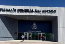 Interponen denuncia por muerte de cuatro perros en la colonia Teresitas de Saltillo