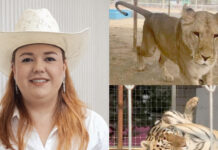 Investigará alcaldesa de Arteaga operación del zoológico “El Ranchito Safari”