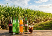 Propone Sheinbaum usar más azúcar mexicana en refrescos