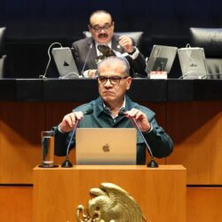 propone miguel riquelme 2