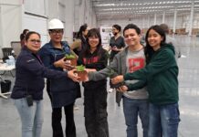 Realiza UA de C brigada universitaria en empresas de la Región Sureste