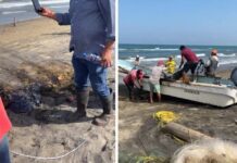 Recolecta Pemex 128 toneladas de residuos de crudo en Golfo