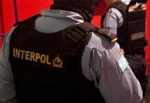 Rescata Interpol a más de 60 víctimas de explotación sexual en un operativo que abarcó 9 países latinoamericanos