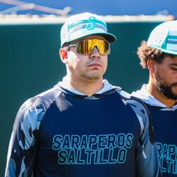 saraperos cervantes