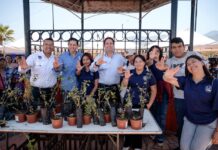 Se suman Municipio y UA de C; llega brigada a la plaza Mirasierra Spurs