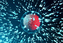 Un nuevo estudio descubre que ciertas épocas del año afectan la fertilidad masculina