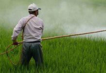 “Zonas de sacrificio”: experto denuncia la injusticia ambiental en México