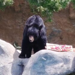 02381856-fd35-4f57-ad7e-16285a2ebde1