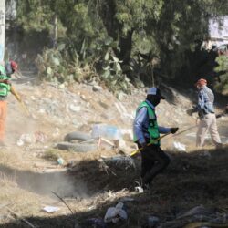 0acb5b8d-696d-4701-b03b-4c5f93413294