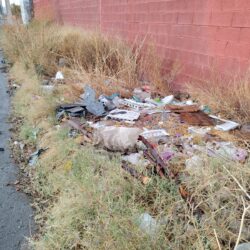 1f352a50-3e63-4455-89f6-7d186c734c75