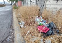 Siguen “cochinones” contaminando calles al sur de Saltillo